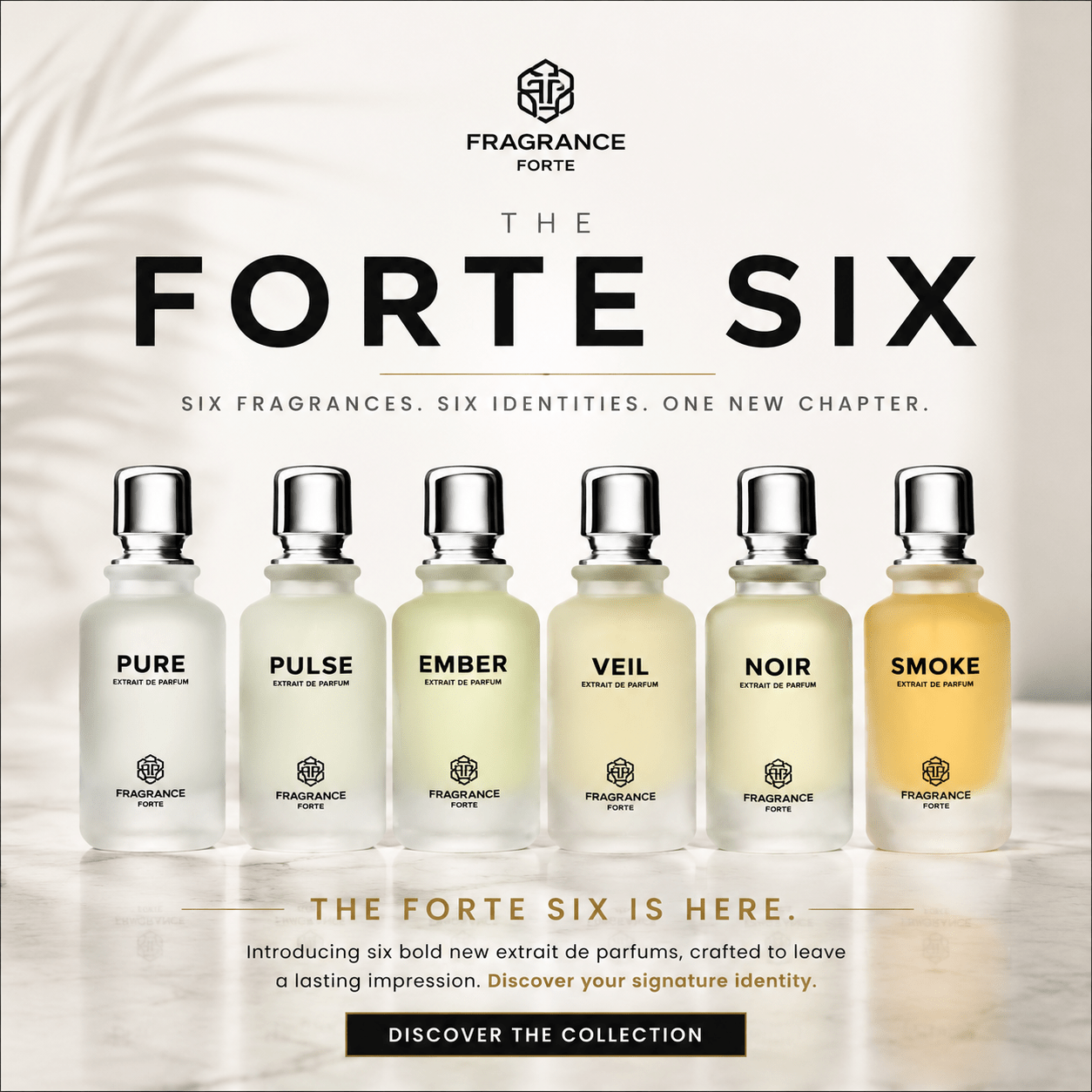 The Forte Six Is Here — A New Chapter for Fragrance Forte - Fragrance Forte