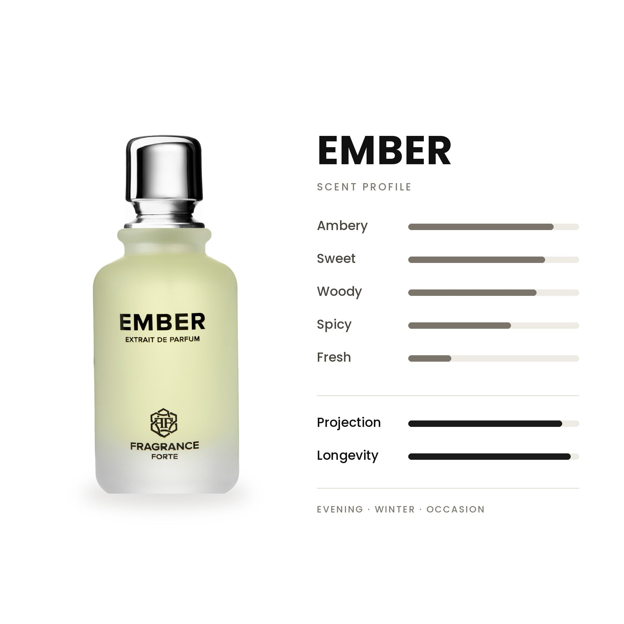 Ember EDP 100ml - Fragrance Forte - Fragrance Forte