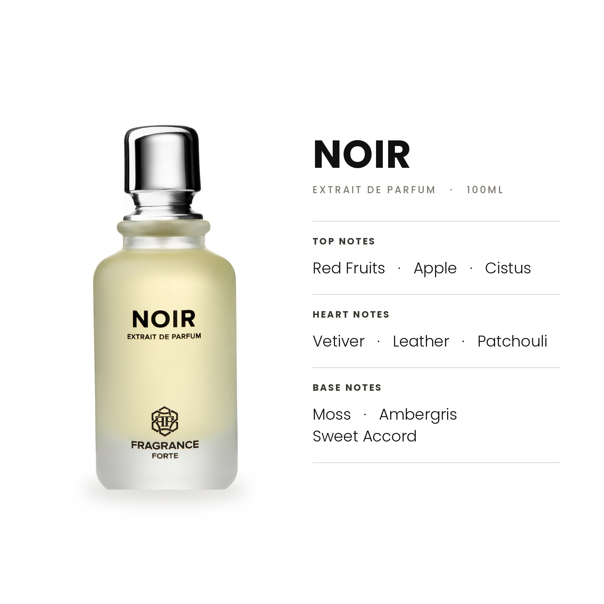 Noir EDP 100ml - Fragrance Forte - Fragrance Forte