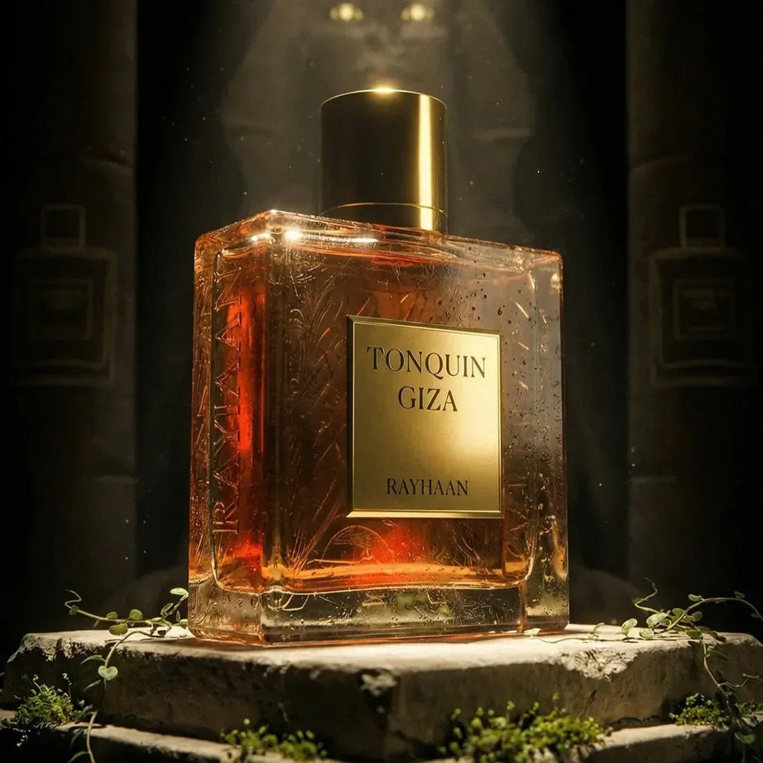 Rayhaan Tonquin Giza EDP 100ml - Rayhaan - Fragrance Forte
