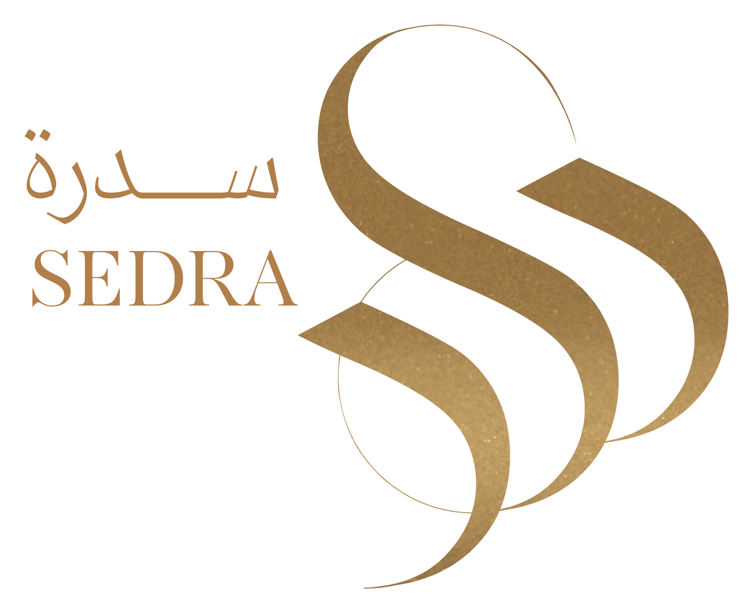 Sedra Perfumes