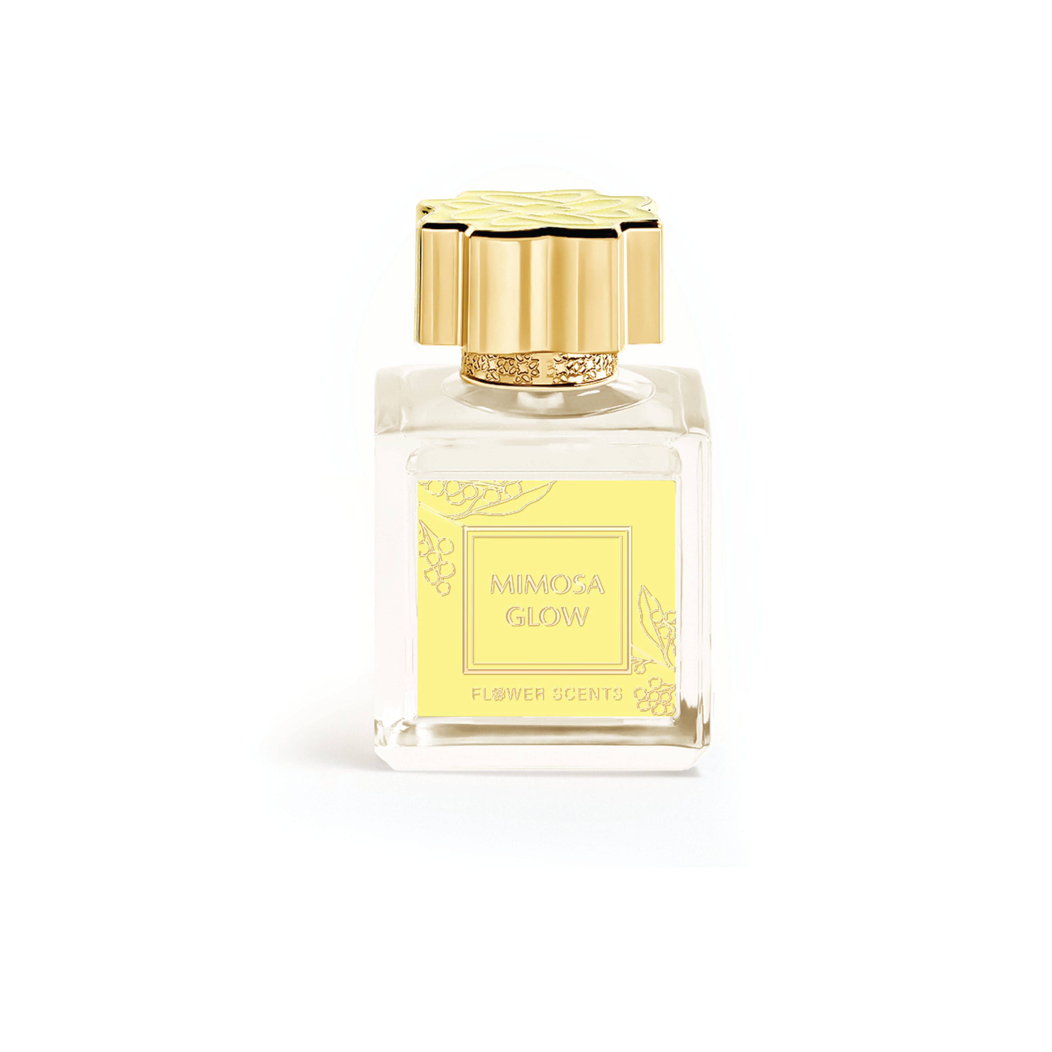Mimosa Glow EDP 65ml