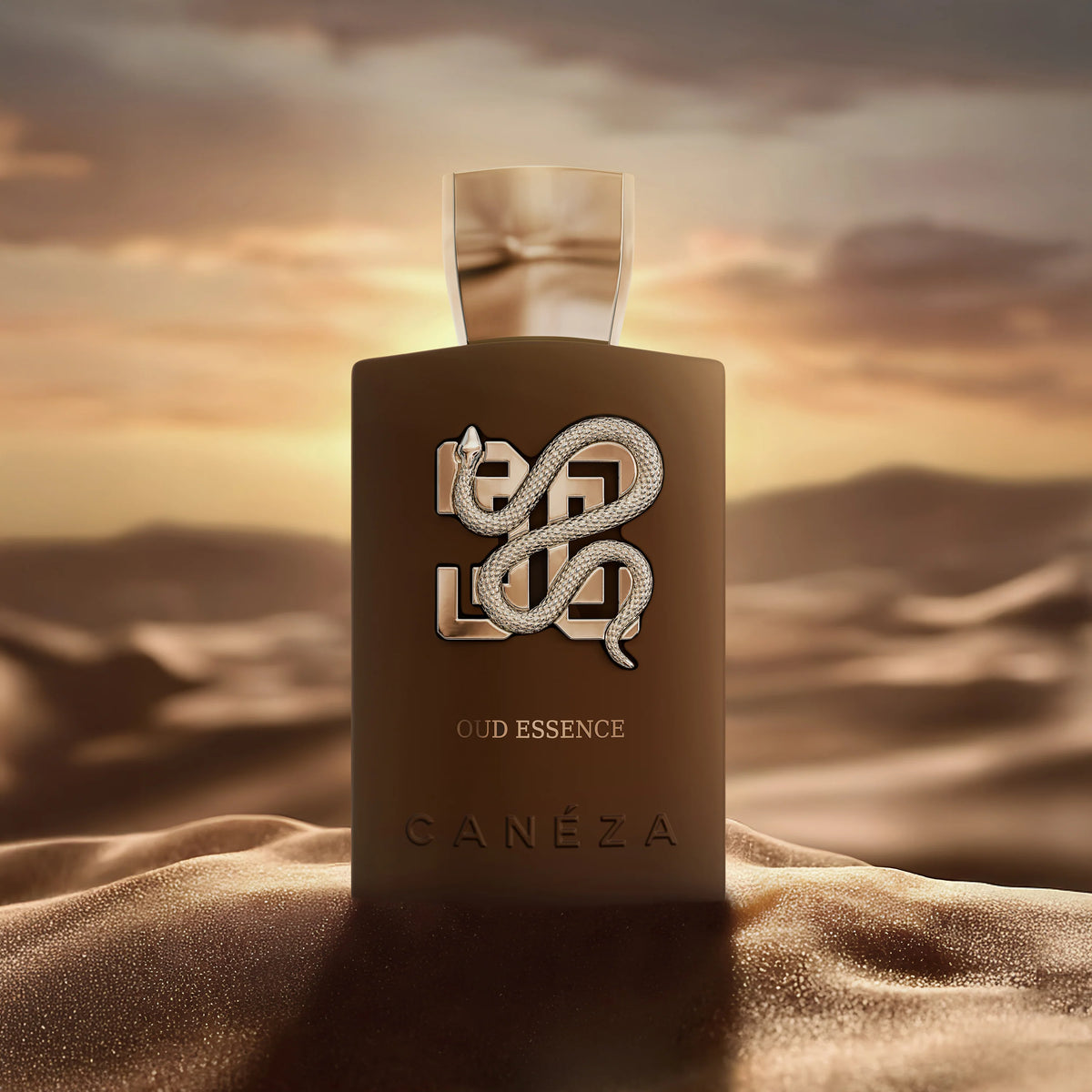 Oud Essence EDP 100ml