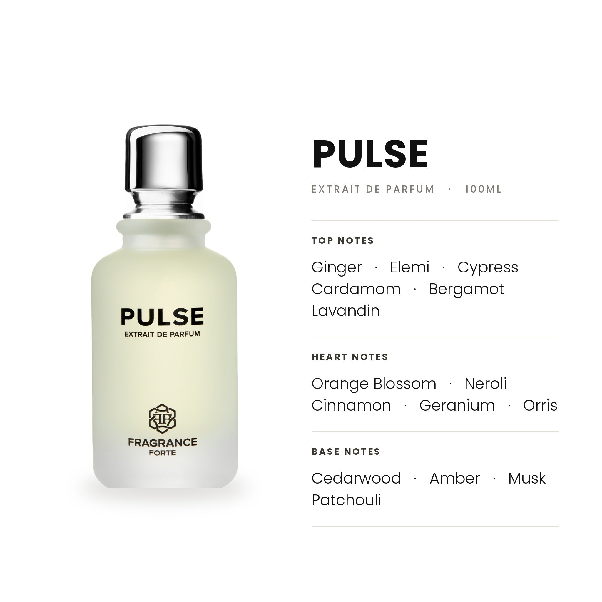 Pulse EDP 100ml - Fragrance Forte - Fragrance Forte