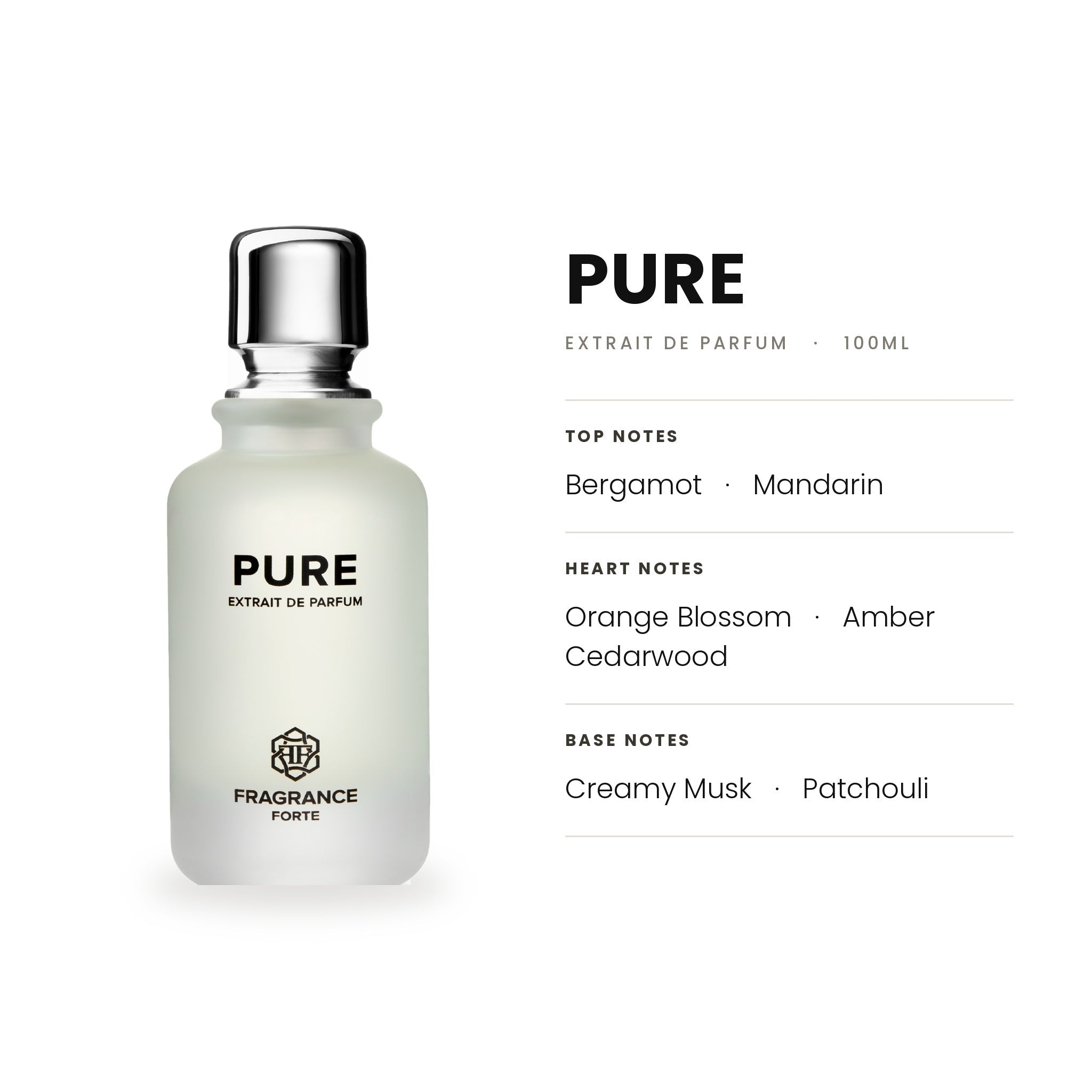 Pure EDP 100ml - Fragrance Forte - Fragrance Forte