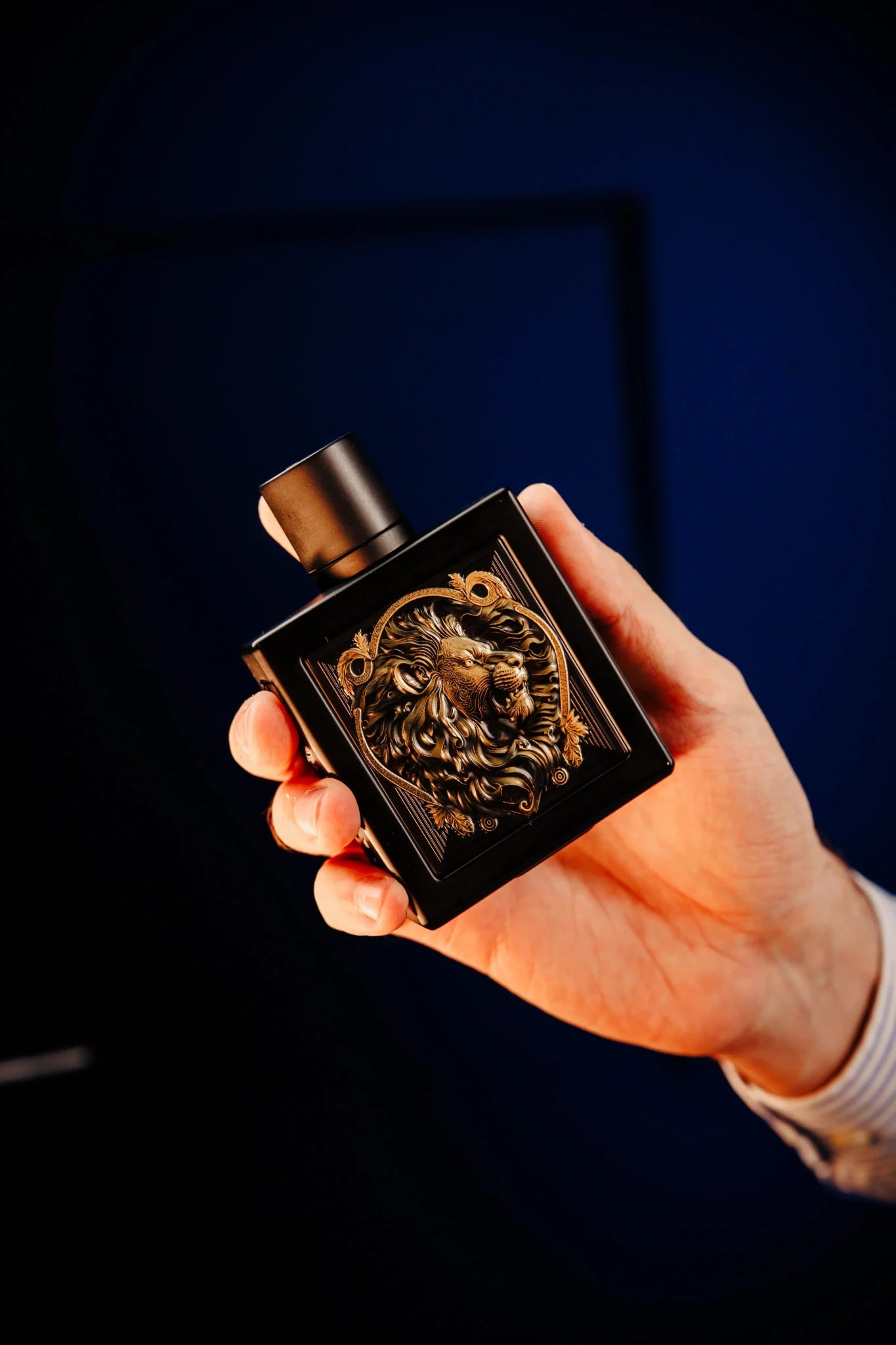 Rayhaan Lion EDP 100ml - Rayhaan - Fragrance Forte