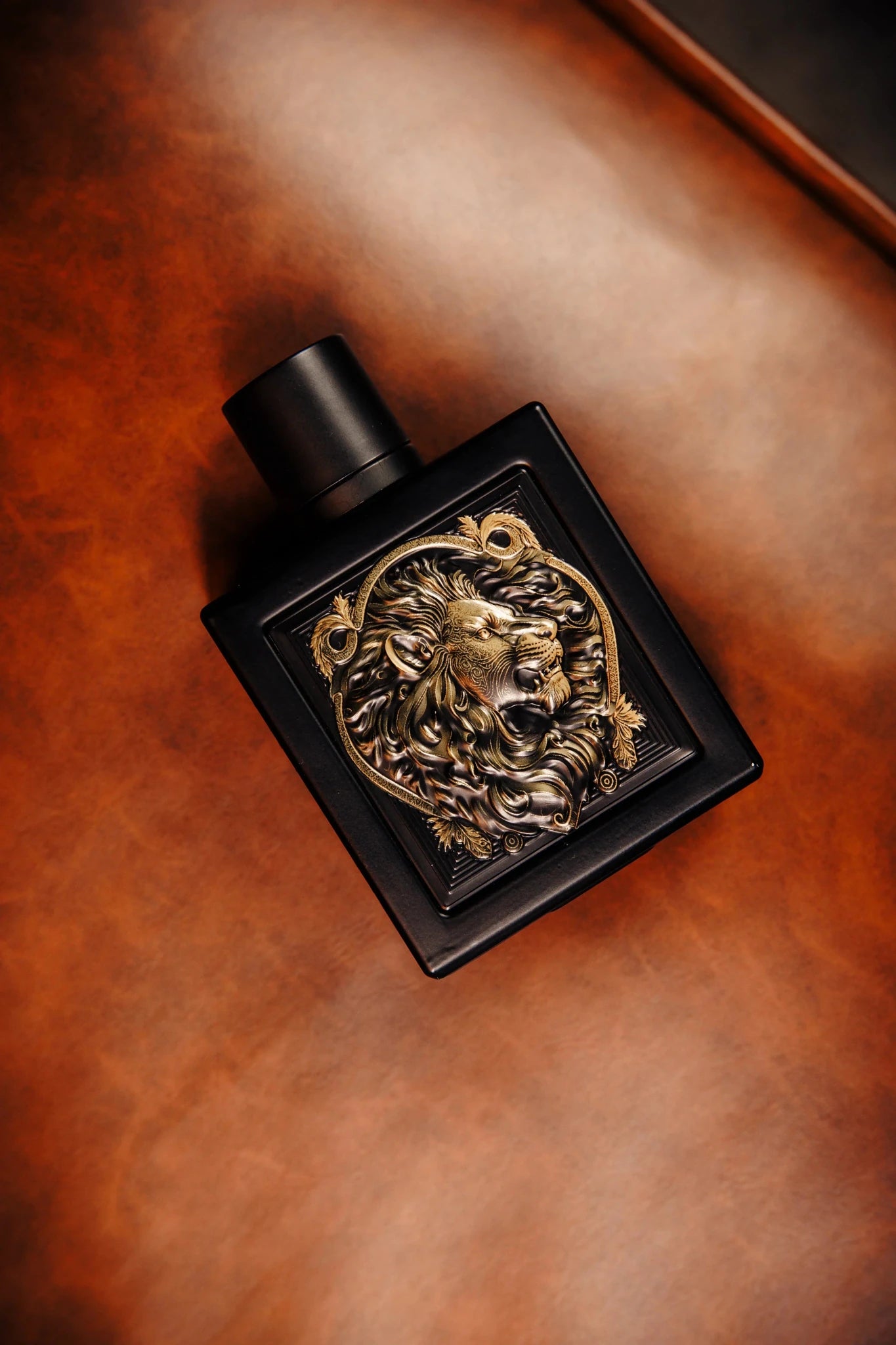 Rayhaan Lion EDP 100ml - Rayhaan - Fragrance Forte