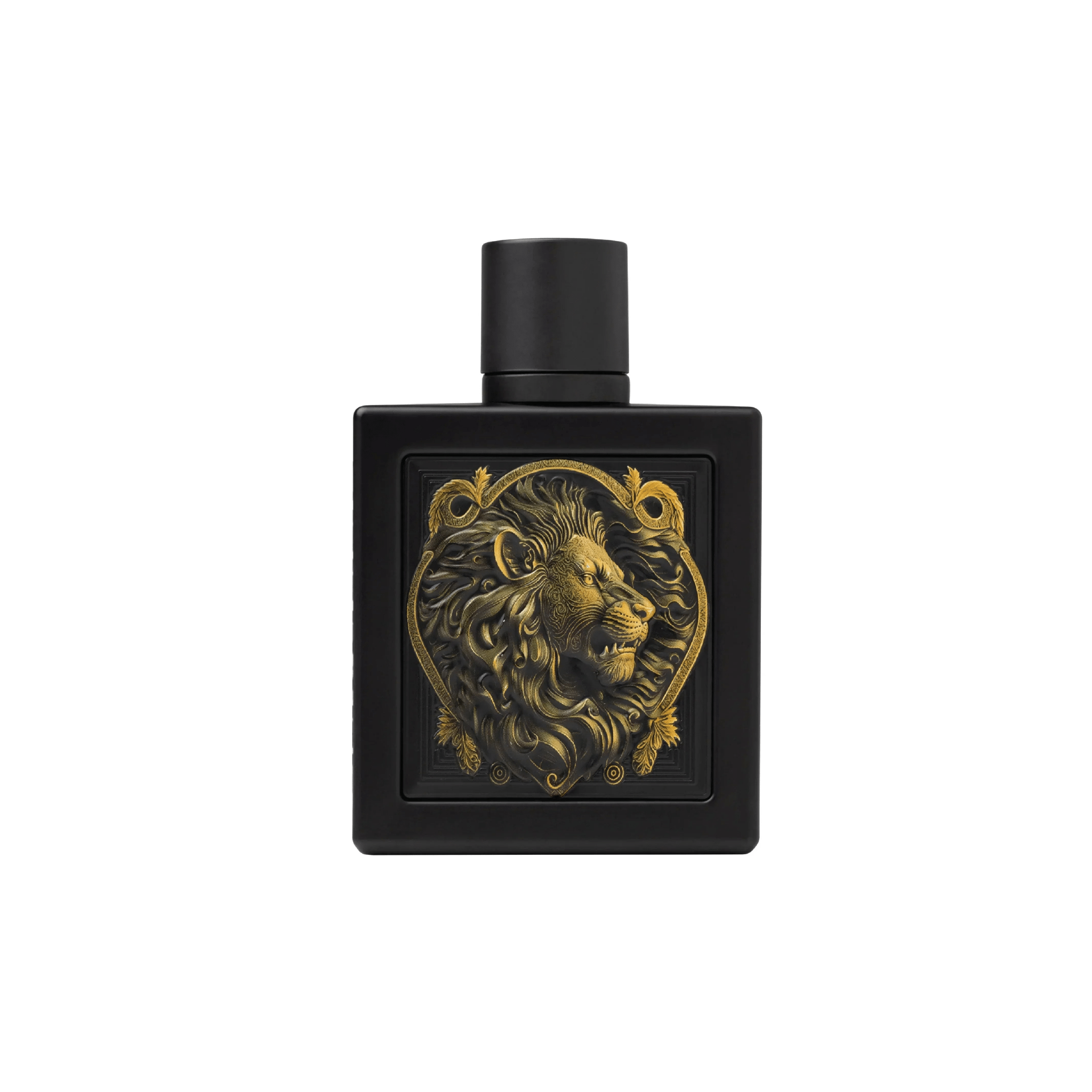 Rayhaan Lion EDP 100ml - Rayhaan - Fragrance Forte